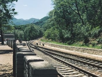 Railroad tracks amidst trees against sky