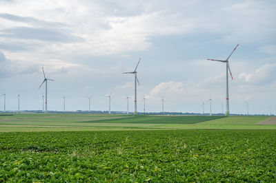 Windmills on field against sky