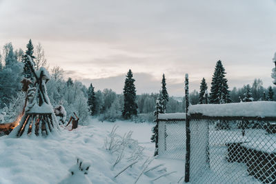 Trees on snow covered land against sky