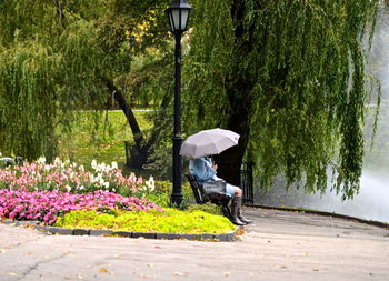 Man with umbrella against trees