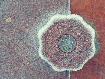 Close-up of object on wall