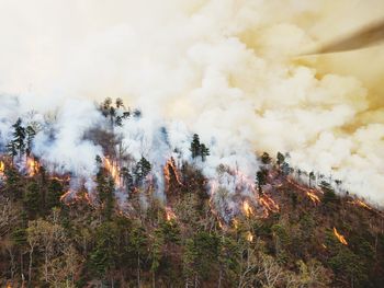 Panoramic view of fire in forest against sky