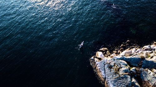 High angle view of rock formation by sea