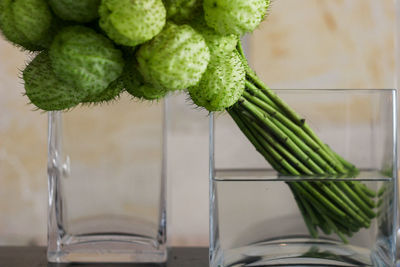 Close-up of vase against the wall