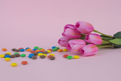 Close-up of multi colored pink flowers on table