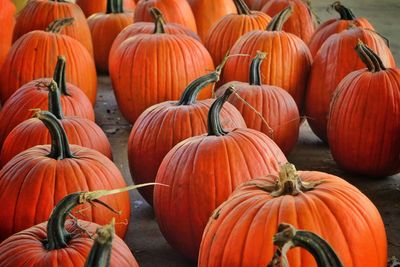 Pumpkins for sale at market stall