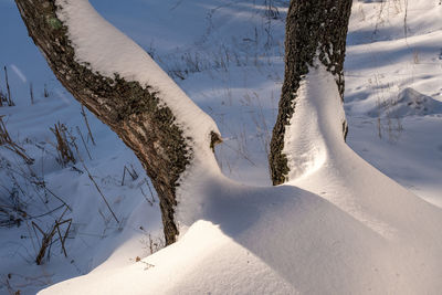 High angle view of snow covered land