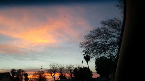 Silhouette of bare trees against sky at dusk