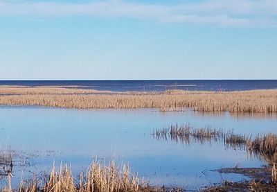 Scenic view of sea against clear sky