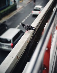 View of vehicles on road