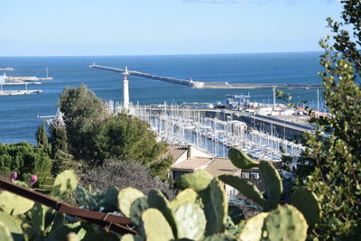 High angle view of plants by sea against clear sky