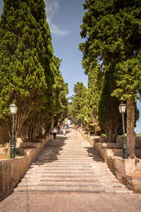 People walking on footpath along trees, santuari de sant salvador