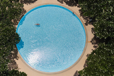 Top view of woman swimming in swimming pool minimal concept.