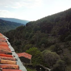 Scenic view of trees and mountains against sky
