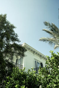 Low angle view of palm trees and building against sky