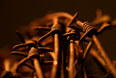 Close-up of rusty chain against black background