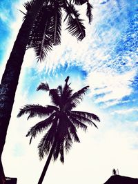 palm tree