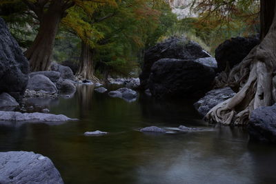 River flowing through rocks in forest