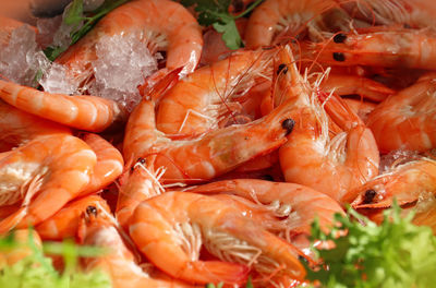 Close-up of fish for sale in market