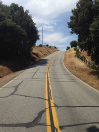 Empty road along trees