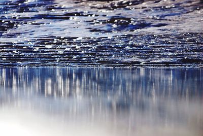 Reflection of trees in water