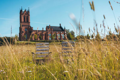 Plants growing on field against sky