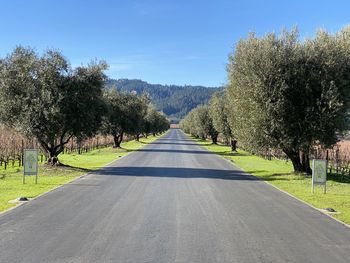 Road amidst trees against sky