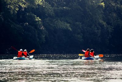 Rear view of people kayaking in river at forest