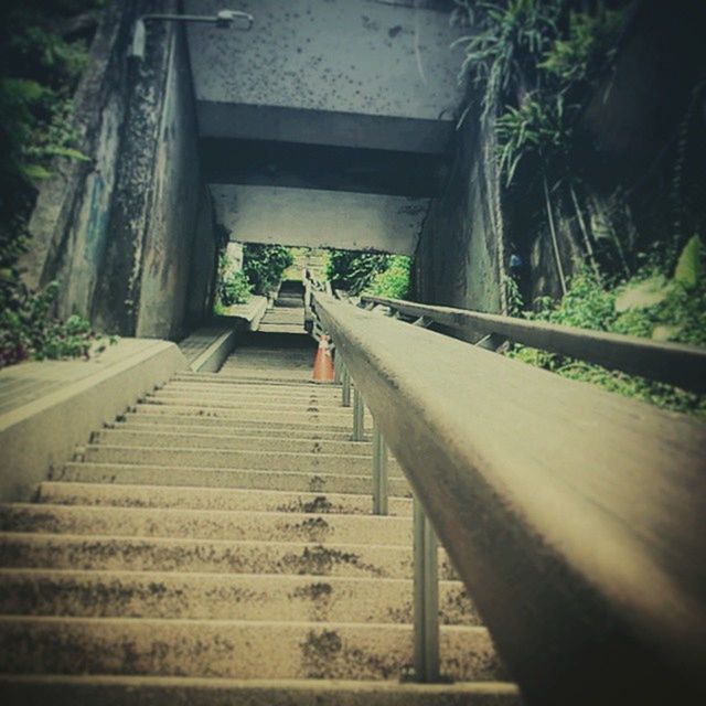 steps, steps and staircases, staircase, railing, the way forward, built structure, tree, architecture, stairs, high angle view, plant, sunlight, no people, day, transportation, low angle view, growth, outdoors, diminishing perspective