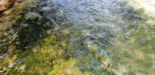 Full frame shot of water flowing through rocks