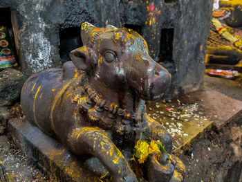 Close-up of animal statue by water