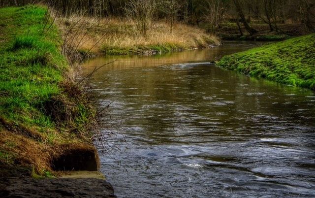 CLOSE-UP OF STREAM BY RIVER