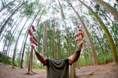 Low angle view of man hands in forest