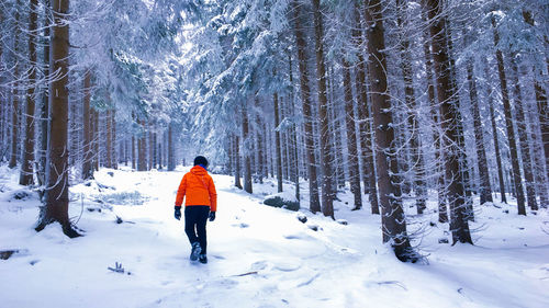 Rear view of person standing on snow covered land