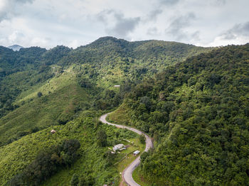 Scenic view of road amidst trees against sky