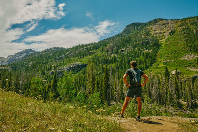 Young man hiking aspen mountain during summer in colorado.