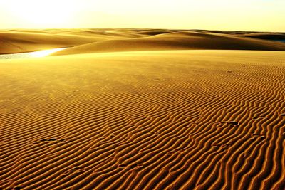 Scenic view of desert against sky during sunset