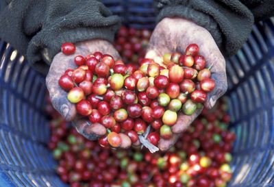 Cropped image of messy hands holding raw coffee beans