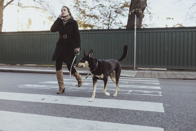 Full length of mature woman talking on mobile phone while crossing street with dog in city