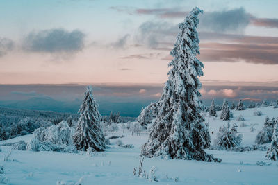 Scenic view of snow covered landscape against sky at sunset