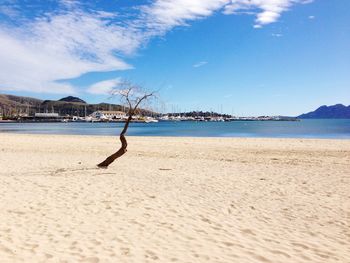 View of sandy beach