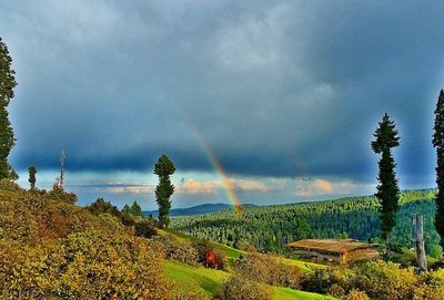 Scenic view of field against cloudy sky