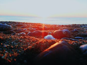Surface level of rocks at sunset
