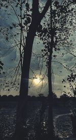 Silhouette trees on landscape against sky at sunset