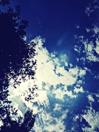 Low angle view of trees against blue sky