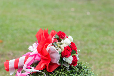 Close-up of red rose against blurred background