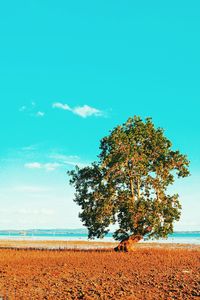 Tree on landscape against sky