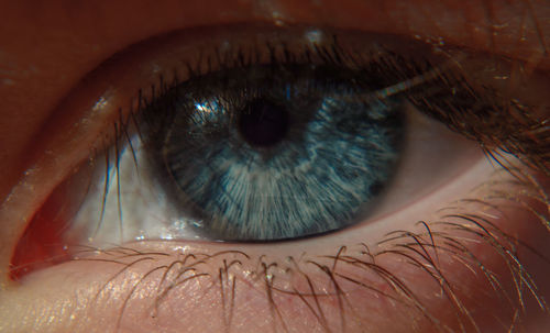 Close-up of human eye