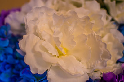 Close-up of rose bouquet