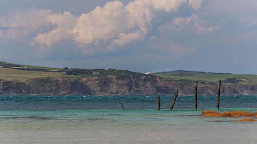 The shore of phillip island on a sunny day